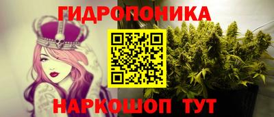 спайс Гусев