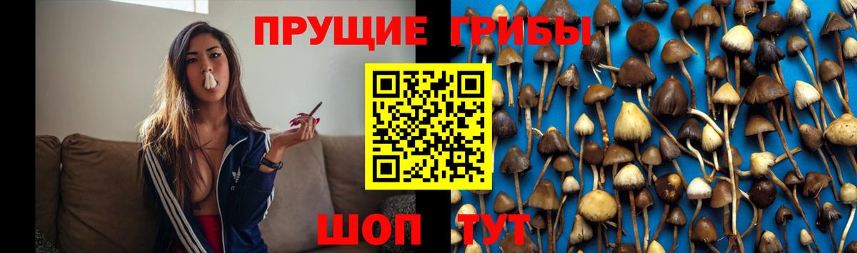 Псилоцибиновые грибы мухоморы  Вход с VPN  наркошоп  Миасс  Галлюциногенные грибы Magic Shrooms 